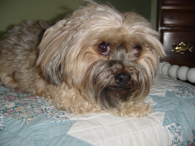 charlie2.jpg